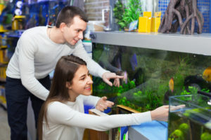 Ordinary happy positive smiling customers selecting tropical fish in aquarium tank