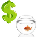 How to Make Money Breeding Fish