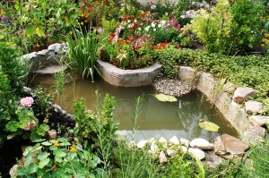 How to Build a Pond - A Beginners Guide to Building the ...